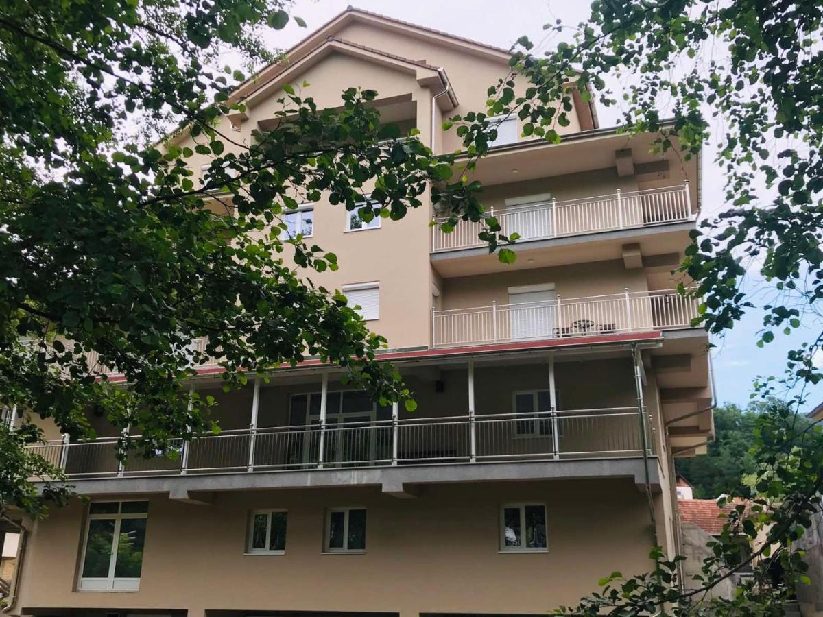Apartmani & Spa Matin Breg Josanicka Banja Ngoại thất bức ảnh